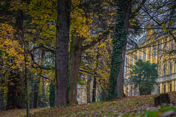 A villa in the park in fall surrounded by leafy leaves