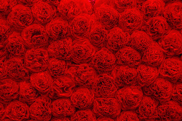 Background of bright red paper flowers