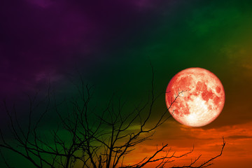 red moon floats on the sky in the shadow of the hands of dried branches and leaves in the forest