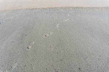 Textur Spuren im Sand Sand in wellenform im Wattenmeer Ostfriesland