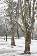 covered snow alleyway in a city park