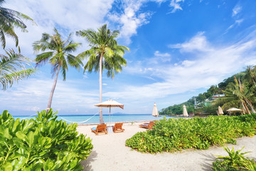 Empty sunny Phi Phi island Beach with tall palms, sunbeds and umbrella