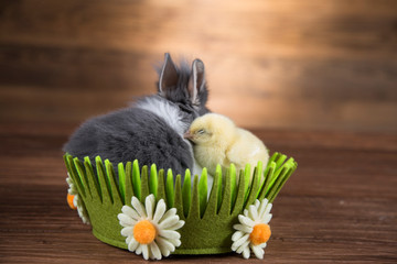 A rabbit and a chicken in a colorful basket with flowers. © dianaduda