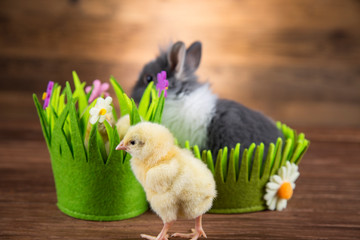 Yellow Easter chickens in a colorful basket with flowers. - obrazy, fototapety, plakaty