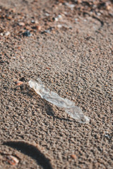 Plastic washed on the beach plastic pollution Ouddorp The Netherlands Europe