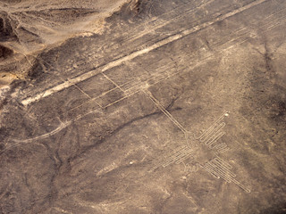 Nasca Lines Hummingbird