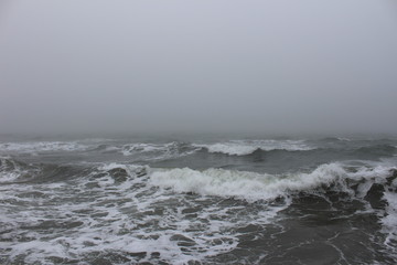 Sea storm in cold winter morning and fog