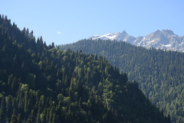 view of the mountains