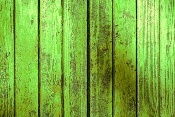 Fototapeta na wymiar old wooden green background