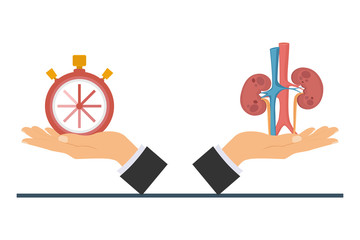Kidney transplantation. The concept of donating an internal organ for transplantation. Human organ for transplantation. Vector illustration.