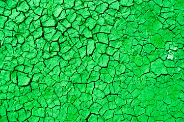 cracked ground, green