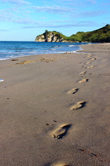 Hahei Beach - Hahei - New Zealand