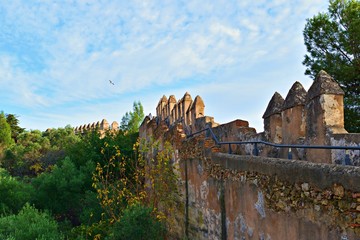 veduta della muraglia del castello di Gibralfaro edificato nel XIV secolo per ospitare le truppe e proteggere l'Alcazaba nella città di Malaga in Spagna