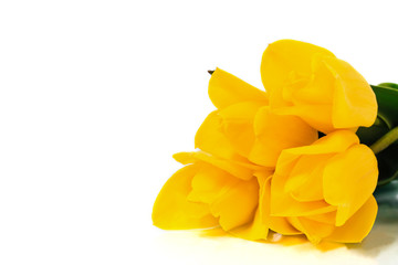 Spring concept. Bouquet of yellow tulips isolated on white