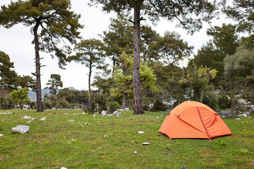 orange tent in the forest