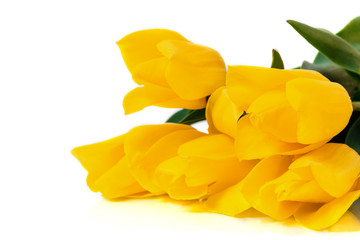 Spring concept. Bouquet of yellow tulips isolated on white