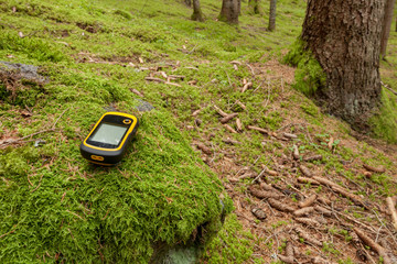 finding the right position in the forest with a gps