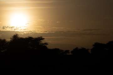 African Sunrise