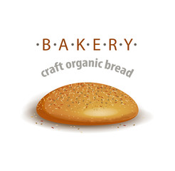 Bread bun with sesame seeds isolated on white