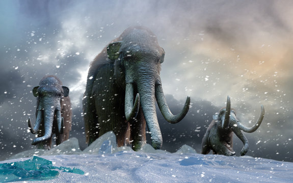 Herd Of Mammoths In The Wild Render 3d