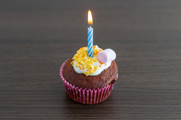 birthday cupcake with candle