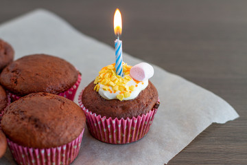 birthday cupcake with candle