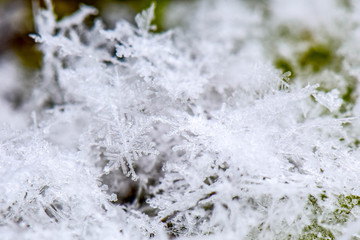 Snowflakes Macro