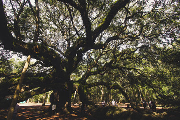 Not Quite Deep South