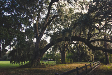 Not Quite Deep South