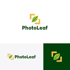 photo leaf logo vector icon illustration