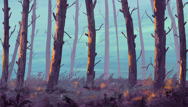Sunset in the forest. Illustration painting