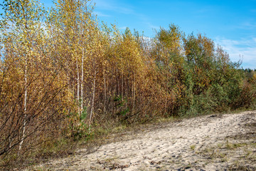 empty country gravel road with mud puddles and bumps