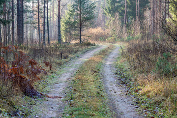 empty country gravel road with mud puddles and bumps