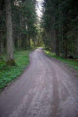 empty country gravel road with mud puddles and bumps