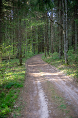 empty country gravel road with mud puddles and bumps