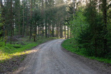 Naklejka premium empty country gravel road with mud puddles and bumps