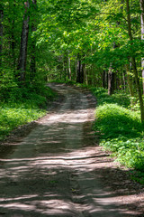 empty country gravel road with mud puddles and bumps