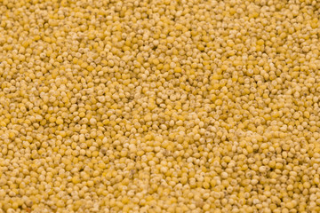 Yellow millet groats texture background