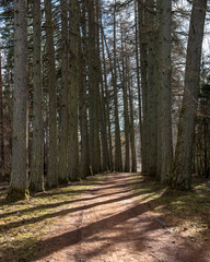 empty country gravel road with mud puddles and bumps