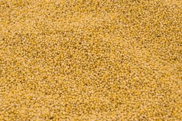 Yellow millet groats texture background