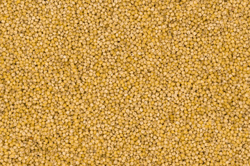 Yellow millet groats texture background