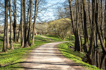 empty country gravel road with mud puddles and bumps