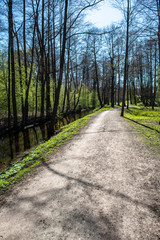empty country gravel road with mud puddles and bumps