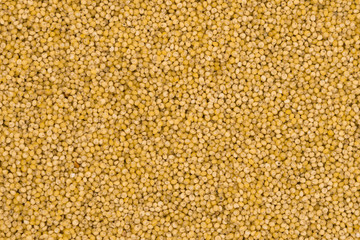 Yellow millet groats texture background