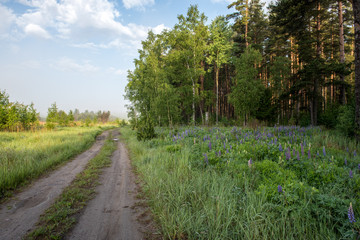 empty country gravel road with mud puddles and bumps