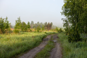 empty country gravel road with mud puddles and bumps