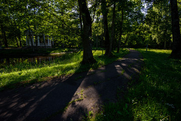Obraz premium empty asphalt road outside city