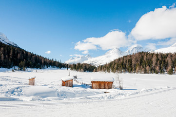 St. Moritz, Stazersee, Stazerwald, Oberengadin, Winter, Wintersport, Winterwanderweg, Langlauf, Alpen, Graubünden, Schweiz