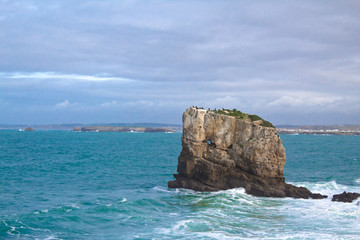 a herd of cormorants on a rock protruding from the ocean