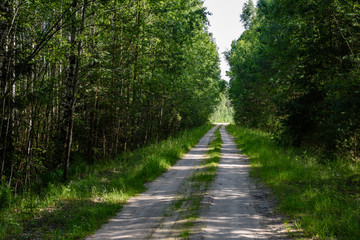 Naklejka premium empty country gravel road with mud puddles and bumps